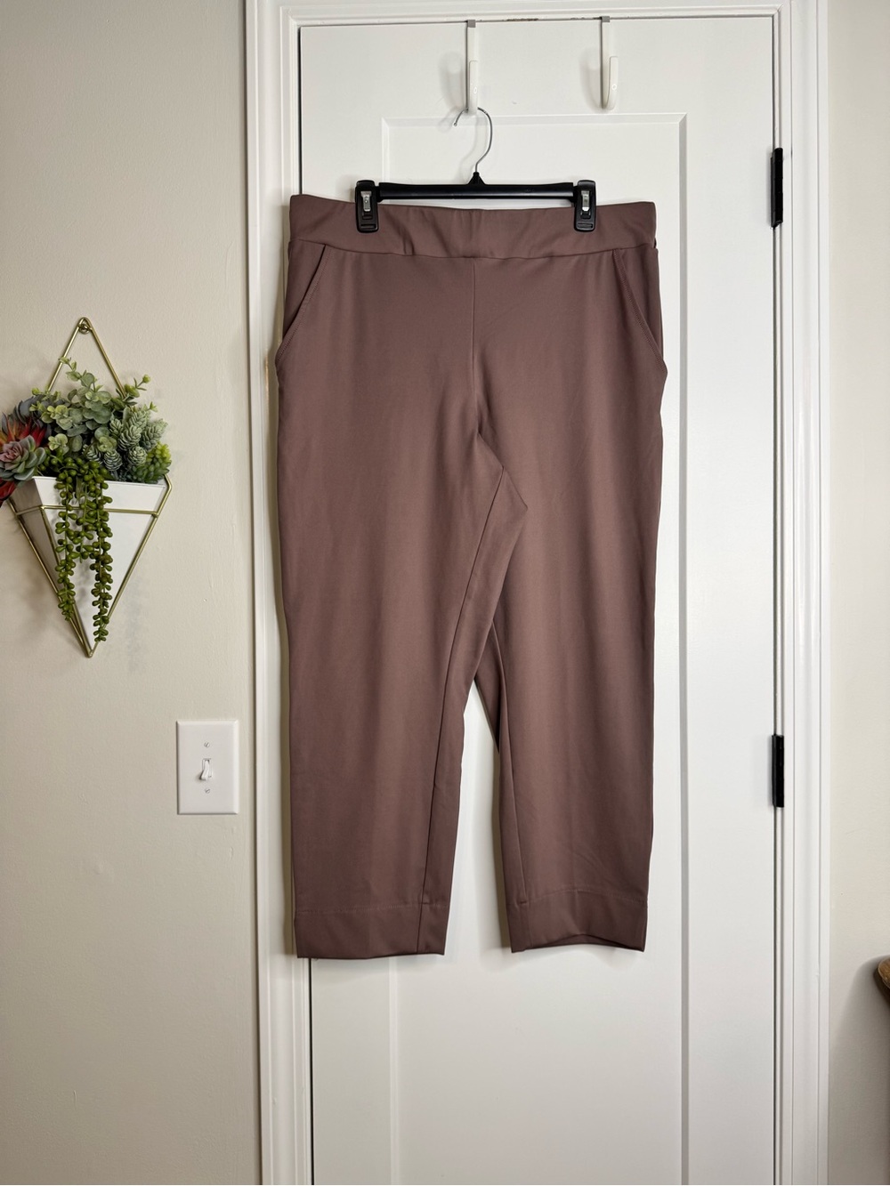 Zac and Rachel Mocha Brown Leisure Pants